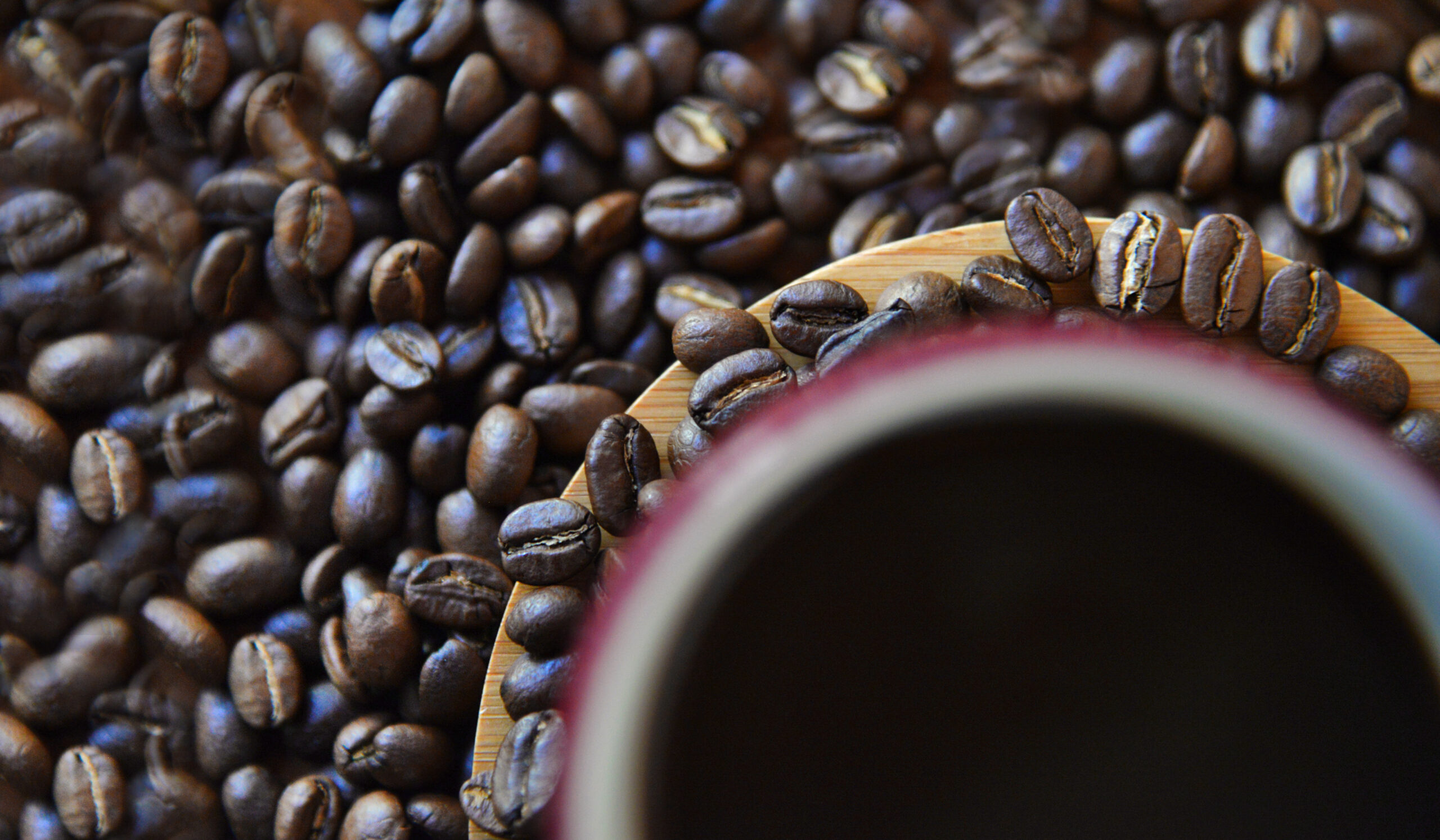 Red Ecolsierra le apuesta a la exportación de café tostado en origen en este año 2022