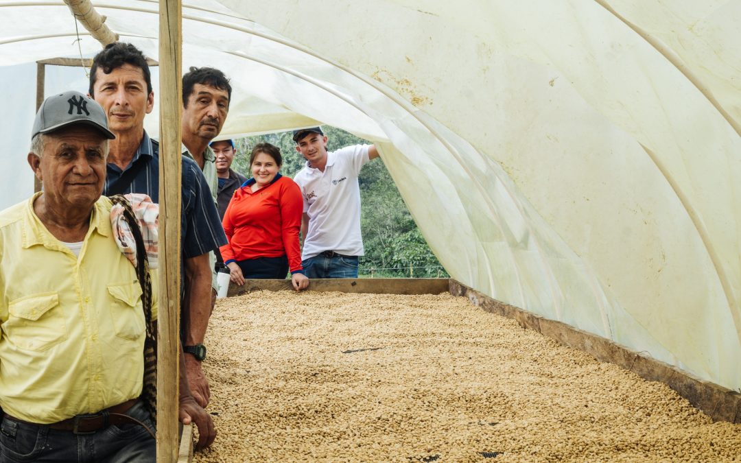 Pondremos en el mercado mundial mil toneladas de café excelso producido con prácticas de sostenibilidad y comercio justo